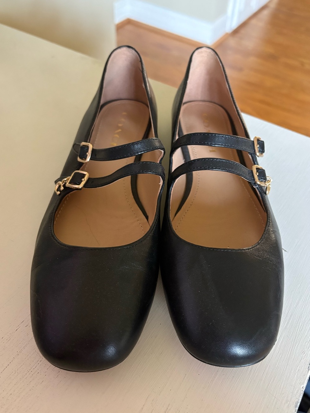 Coach Whitley Black Double-Strap Mary Jane Flat